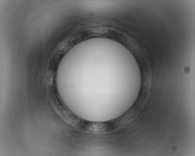 X0000111620758200907311202