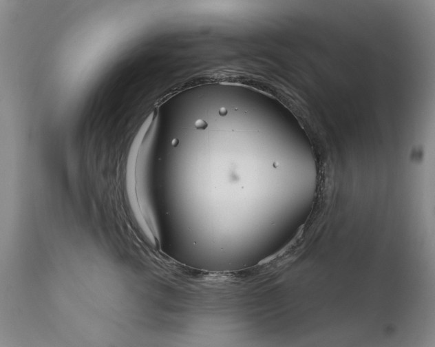 X0000111620762200907311202