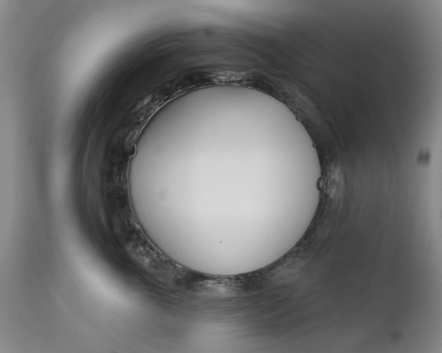 X0000111620763200907311202