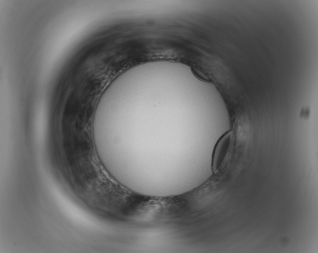 X0000111620764200907311202