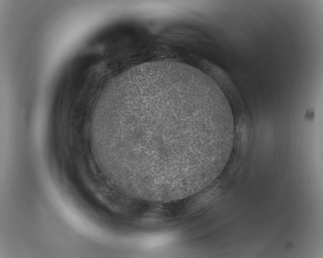 X0000111620765200907311202