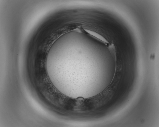 X0000111620766200907311202