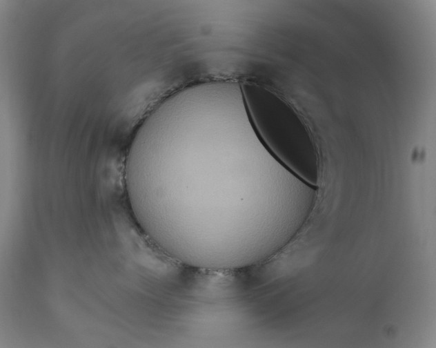 X0000111620768200907311202