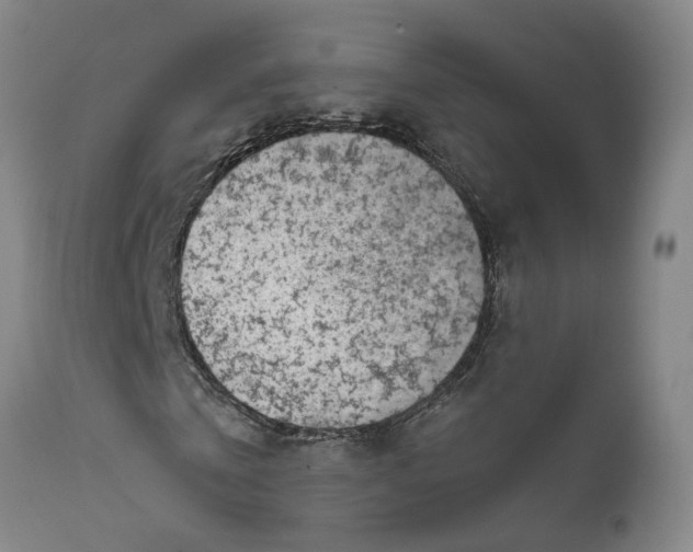 X0000111620769200907311201