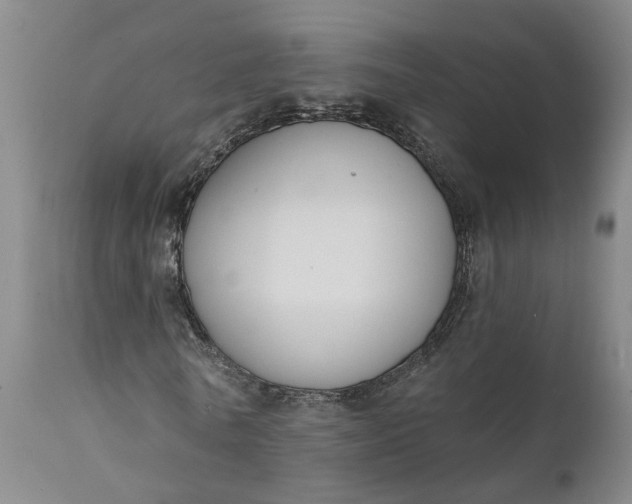 X0000111620770200907311201