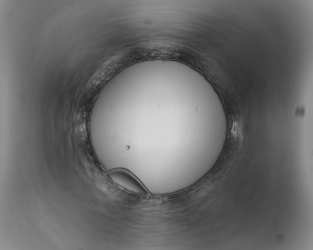 X0000111620771200907311201