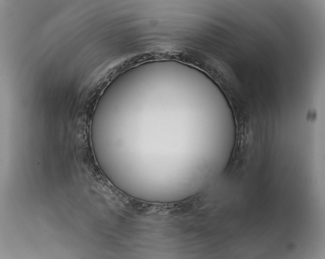 X0000111620773200907311201