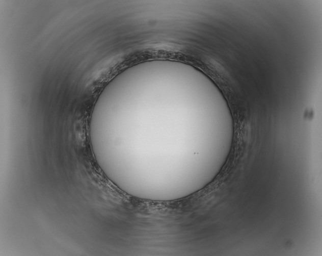 X0000111620774200907311201