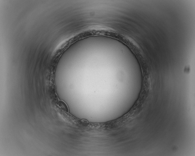 X0000111620775200907311201