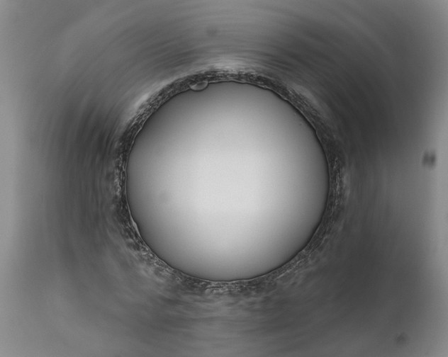 X0000111620776200907311201