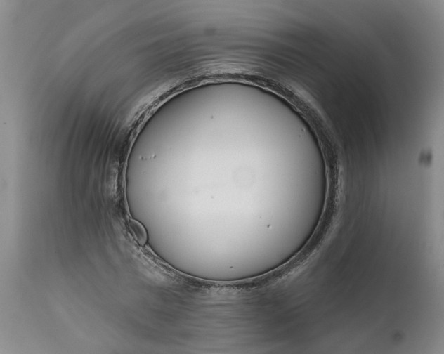 X0000111620777200907311201