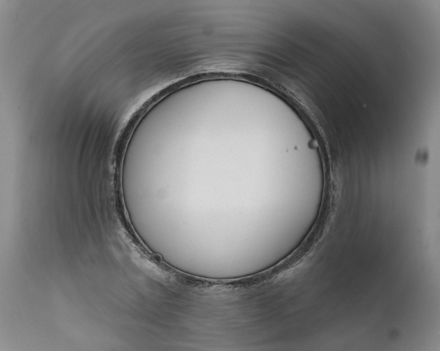 X0000111620779200907311201