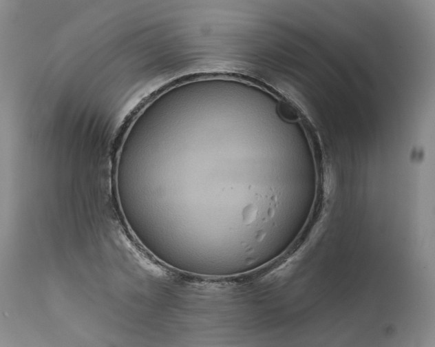 X0000111620781200907311201