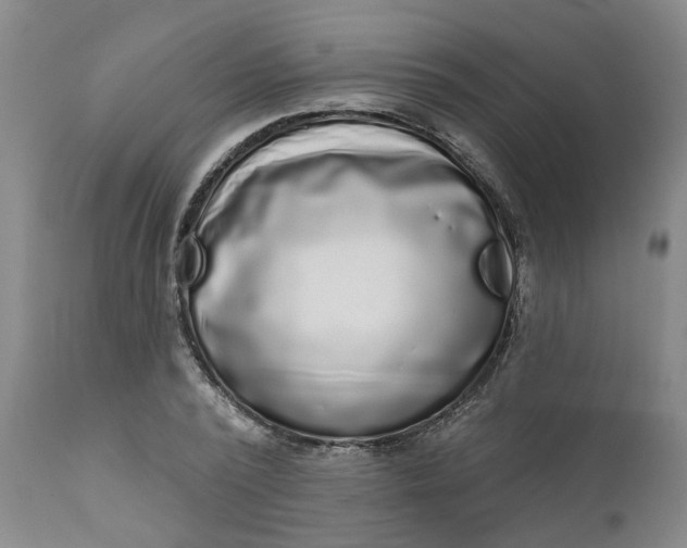 X0000111620784200907311201