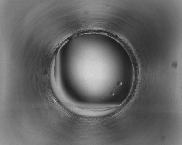 X0000111620785200907311201