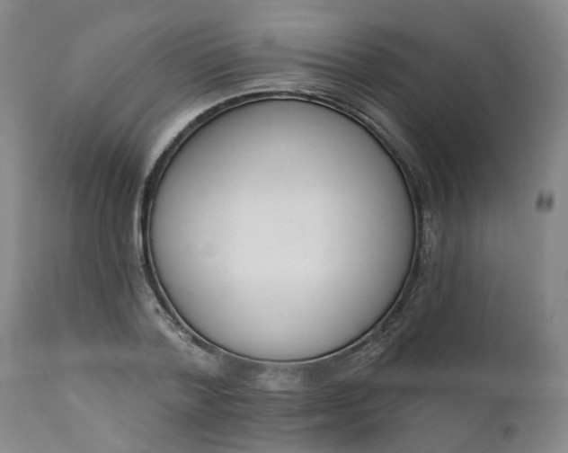 X0000111620788200907311201