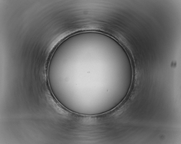 X0000111620789200907311201