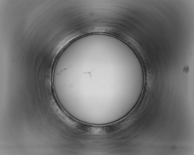 X0000111620794200907311201