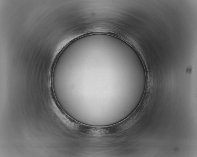 X0000111620795200907311201