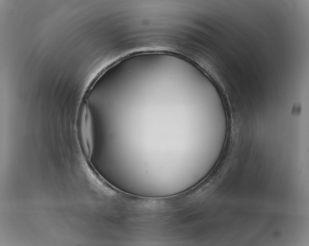 X0000111620797200907311201