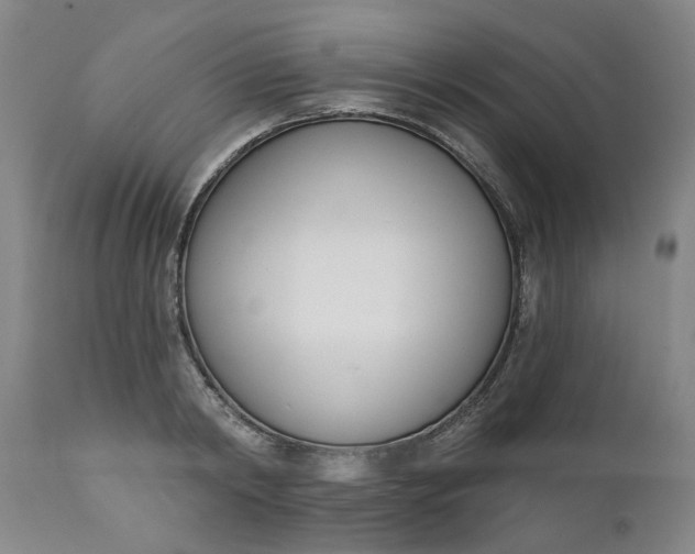 X0000111620798200907311201