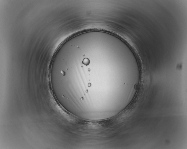 X0000111620799200907311201