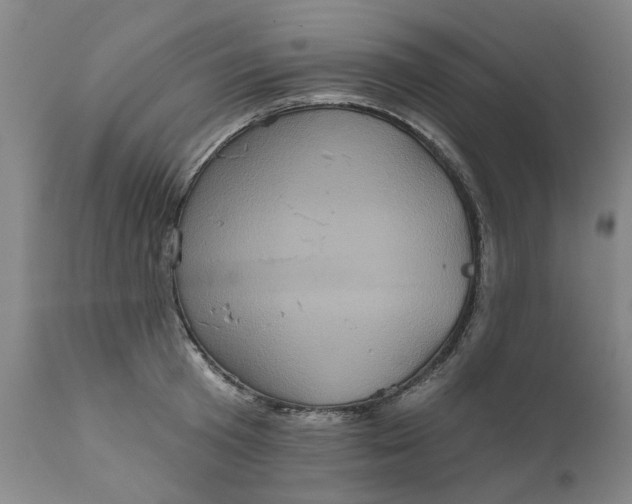 X0000111620801200907311201