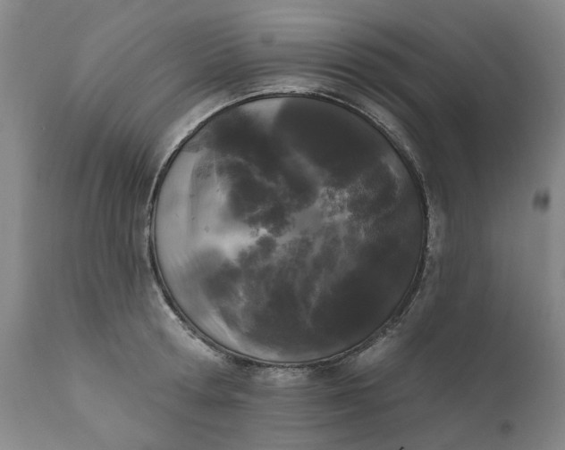 X0000111620802200907311201