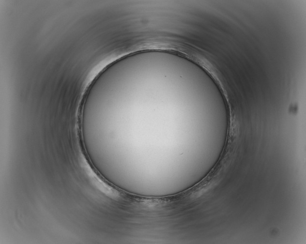 X0000111620803200907311201