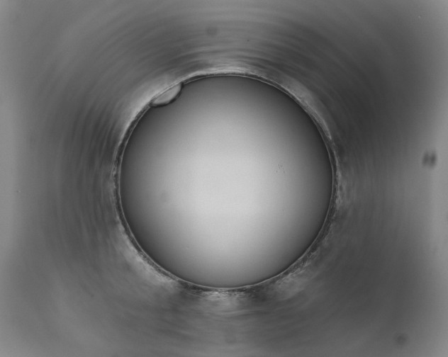 X0000111620805200907311201