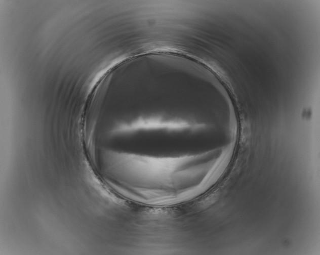 X0000111620806200907311201