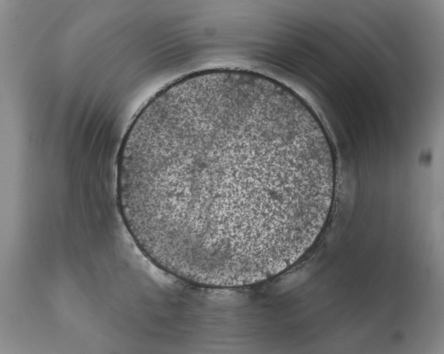 X0000111620807200907311201