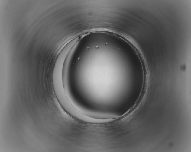 X0000111620809200907311201