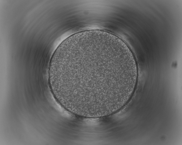 X0000111620810200907311201