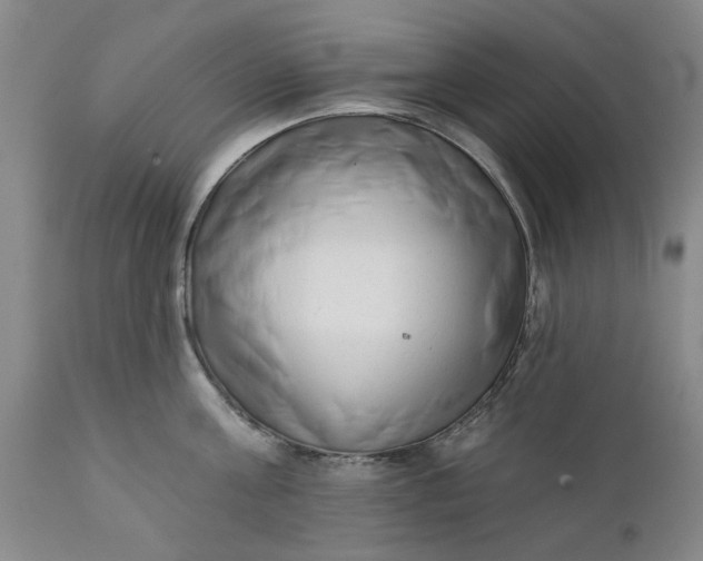 X0000111620811200907311201