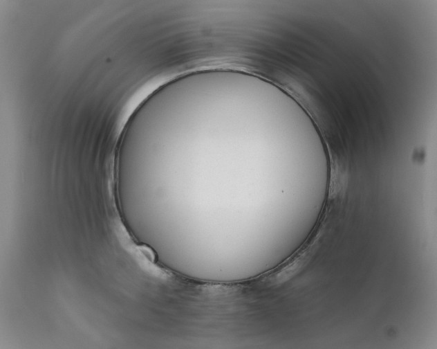 X0000111620812200907311201