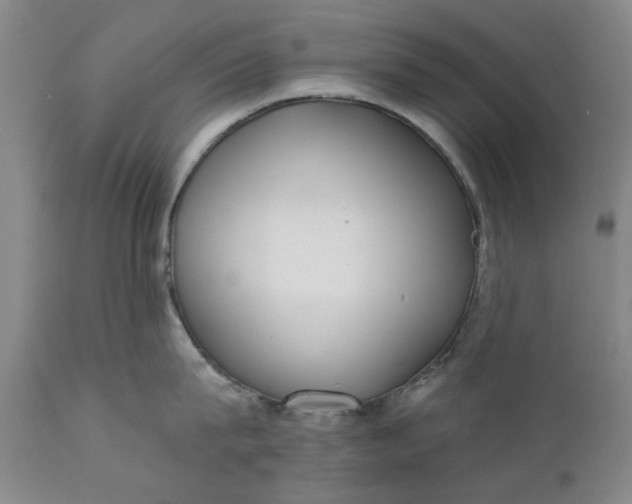 X0000111620815200907311201