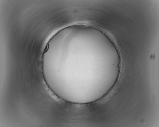 X0000111620816200907311201