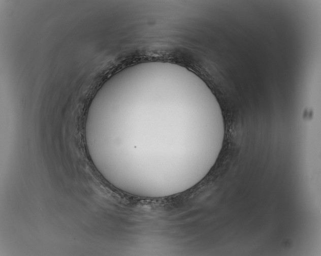 X0000111620817200907311200