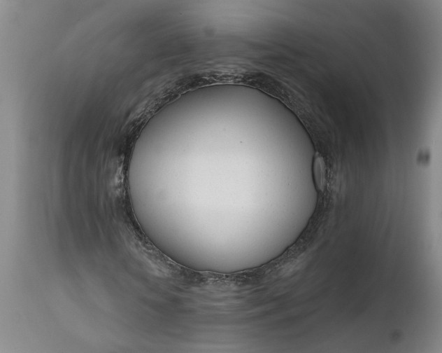 X0000111620818200907311200