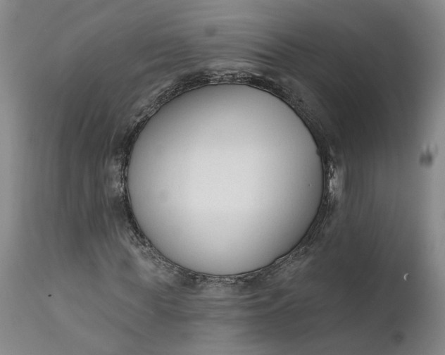 X0000111620819200907311200