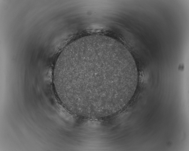 X0000111620820200907311200