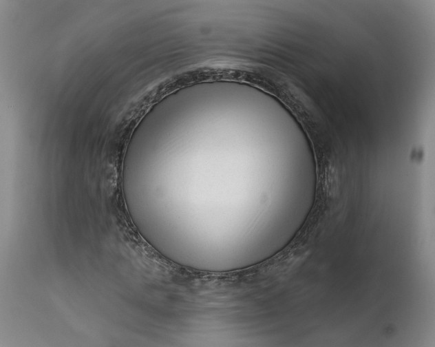 X0000111620821200907311200