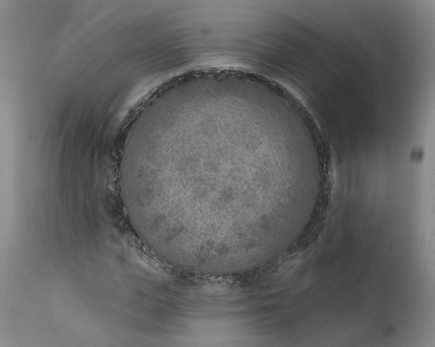 X0000111620823200907311200