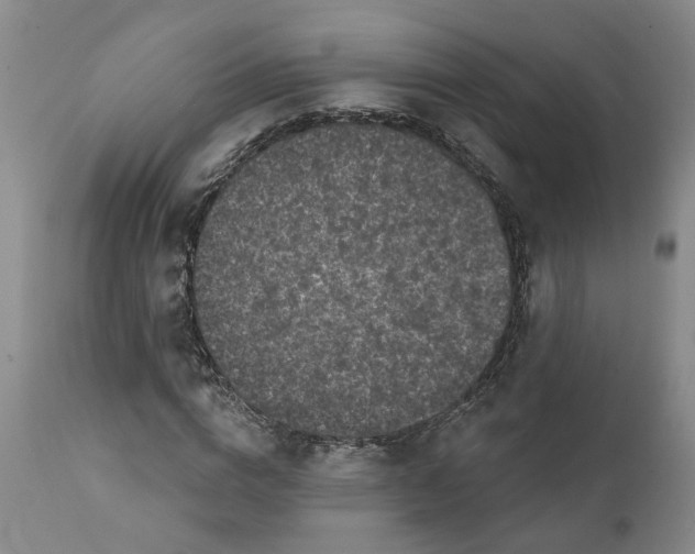 X0000111620824200907311200