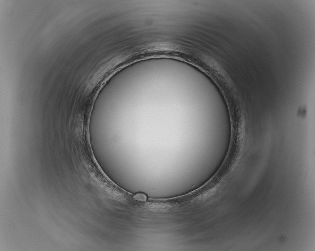 X0000111620825200907311200