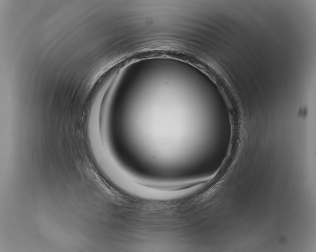 X0000111620826200907311200