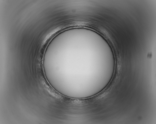 X0000111620827200907311200