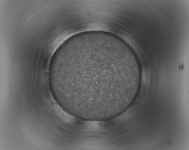 X0000111620828200907311200