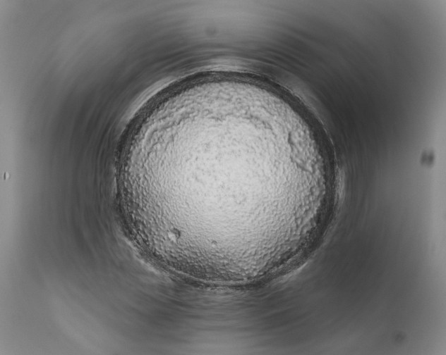 X0000111620829200907311200